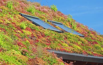 Fletching Common living roof systems