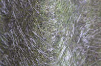 Fletching Common fibreglass roof work