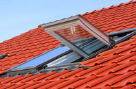 Fletching Common roof window
