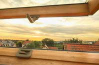 rated Fletching Common roof window companies